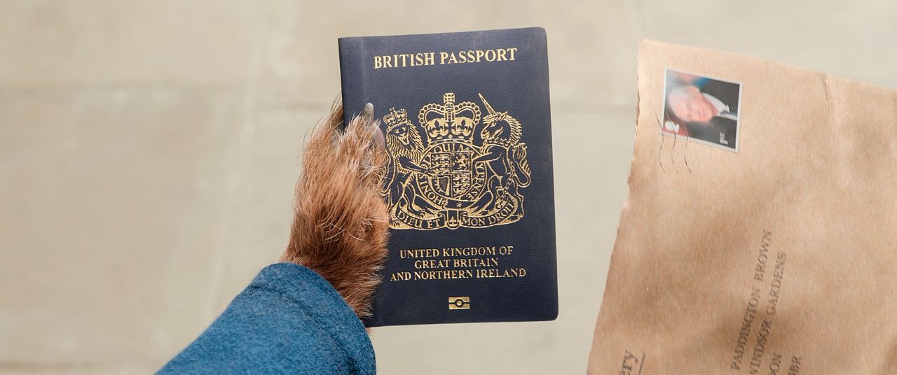 Paddington - Uma Aventura na Floresta  : Fotos