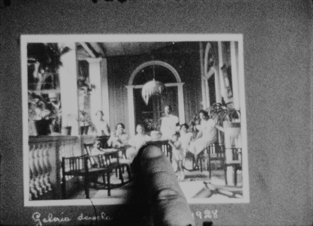 A Memória das Borboletas : Fotos