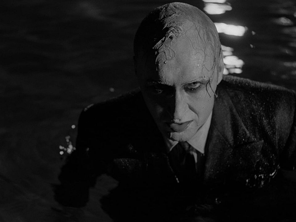 O Parque Macabro : Fotos