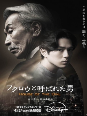 House of the Owl : Poster