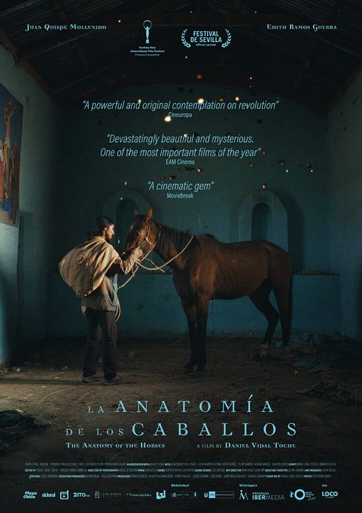    A Anatomia dos Cavalos : Poster