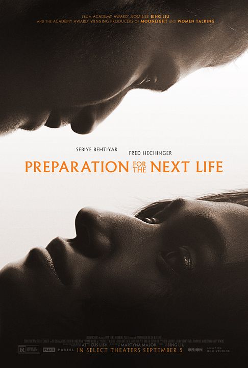 Preparation for the Next Life : Poster
