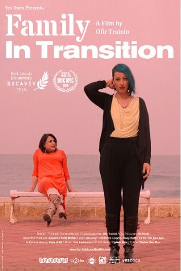 Family In Transition : Poster