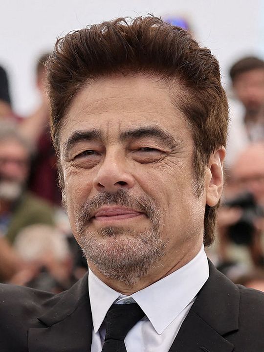 Poster Benicio Del Toro