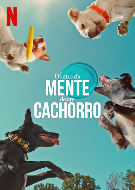 Dentro da Mente de um Cachorro : Poster