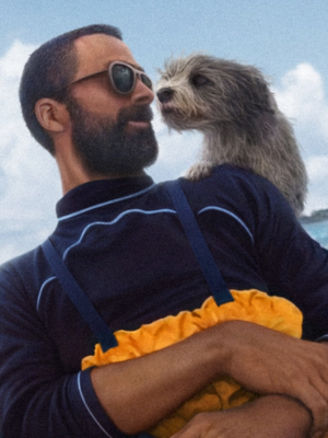 Bichinhos de Estimação  : Poster