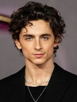 Poster Timothée Chalamet