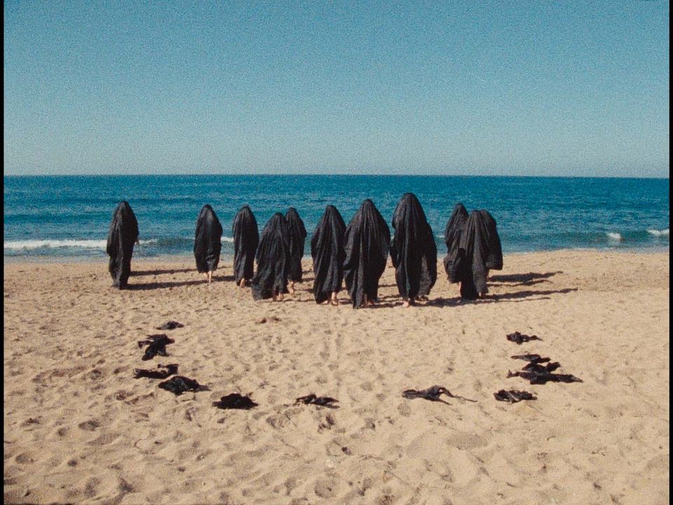 Leila e os Lobos : Fotos