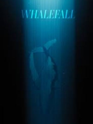 Whalefall : Poster