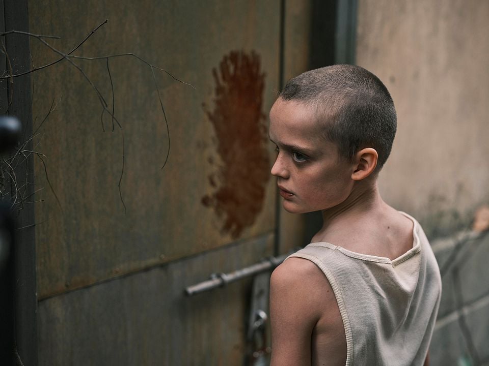 Faça Ela Voltar : Fotos Jonah Wren Phillips