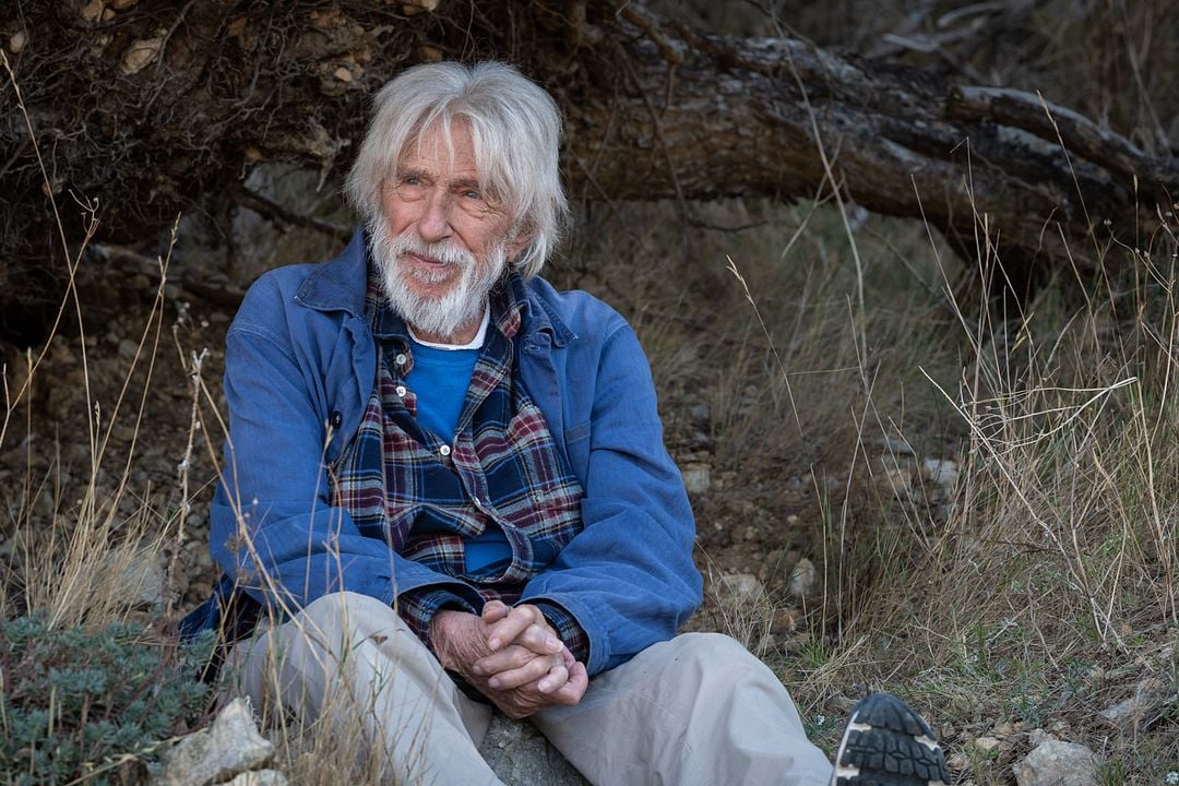 Sonho, Logo Existo : Fotos Pierre Richard