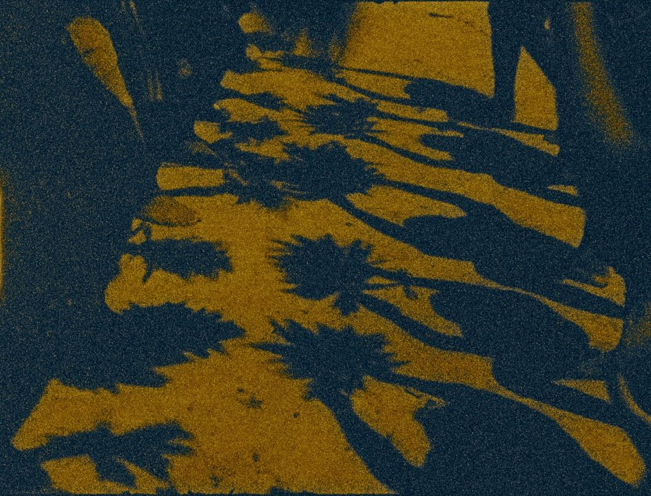 A Memória das Borboletas : Fotos