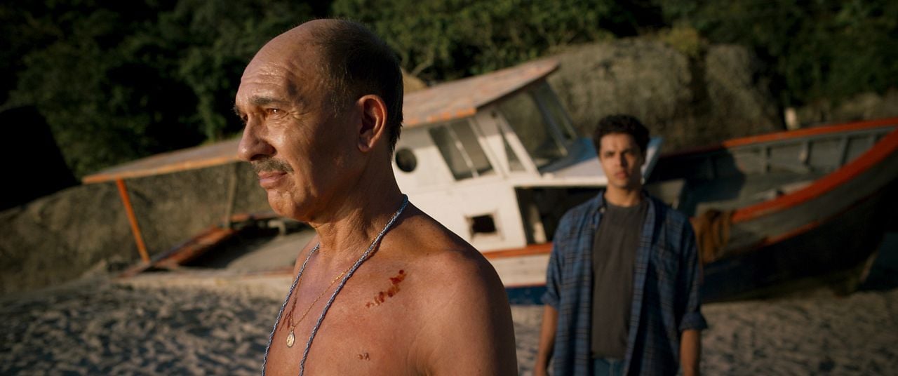 Um Lobo Entre Os Cisnes : Fotos