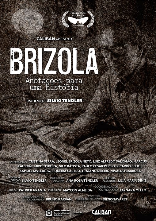 Brizola, Anotações Para Uma História : Poster