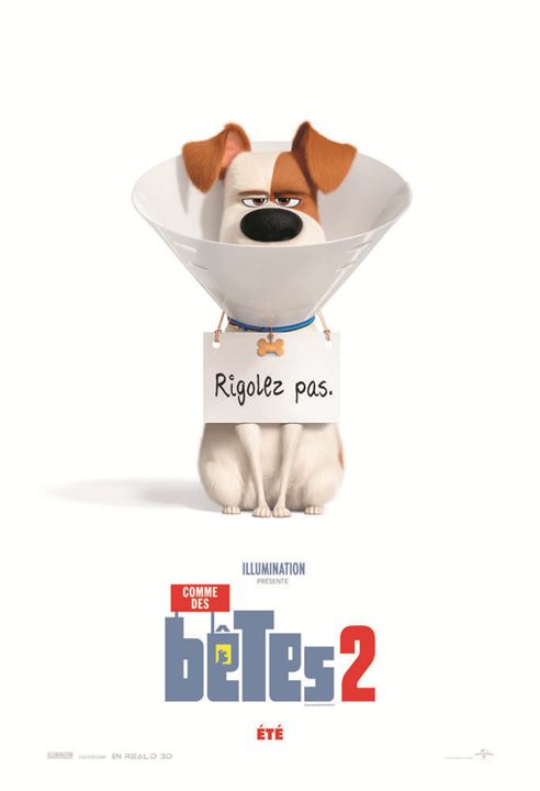 Pets - A Vida Secreta dos Bichos 2 : Poster