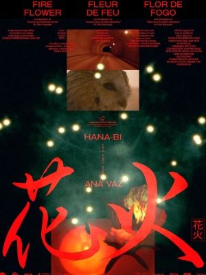 Flor de Fogo : Poster