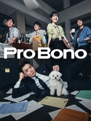 Pro Bono : Poster