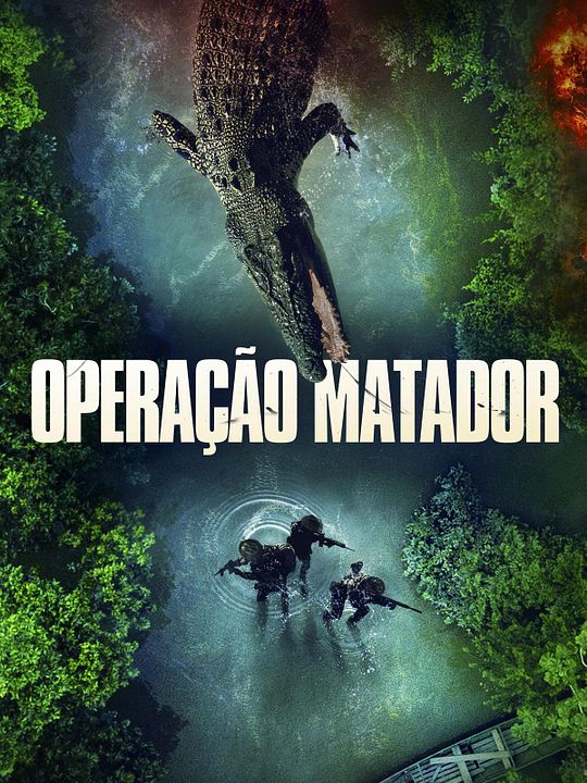 Operação Matador : Poster