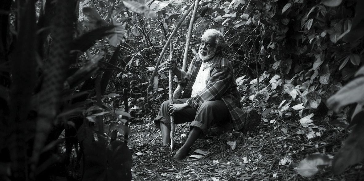 Por Nossa Causa : Fotos