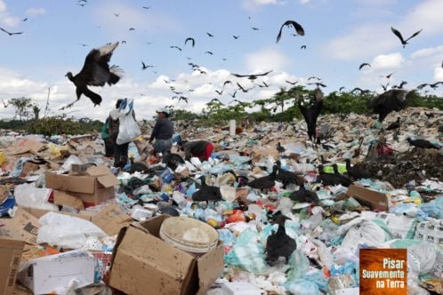 Pisar Suavemente na Terra : Fotos