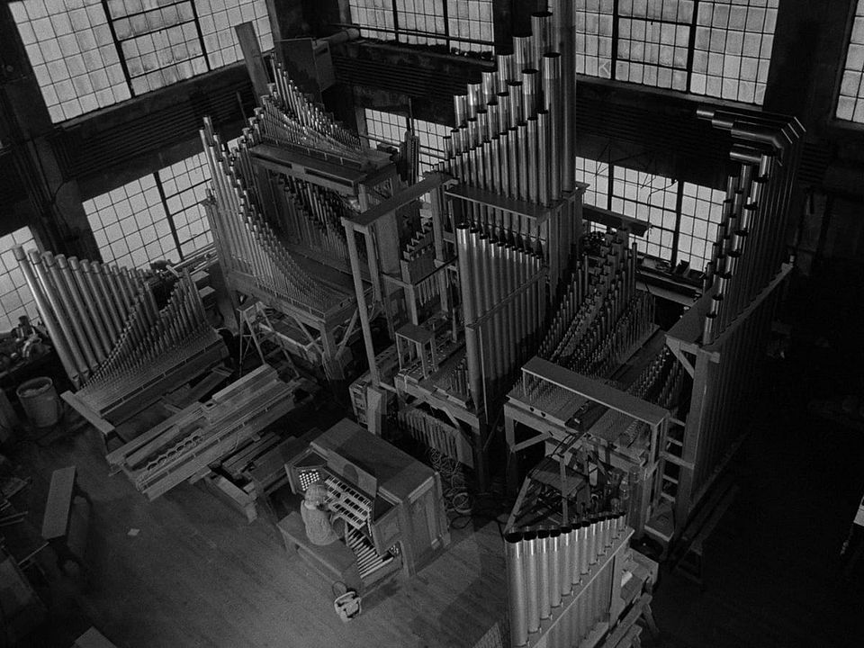 O Parque Macabro : Fotos