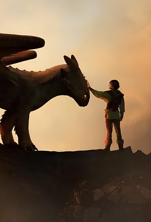 Como Treinar o Seu Dragão 2 : Poster