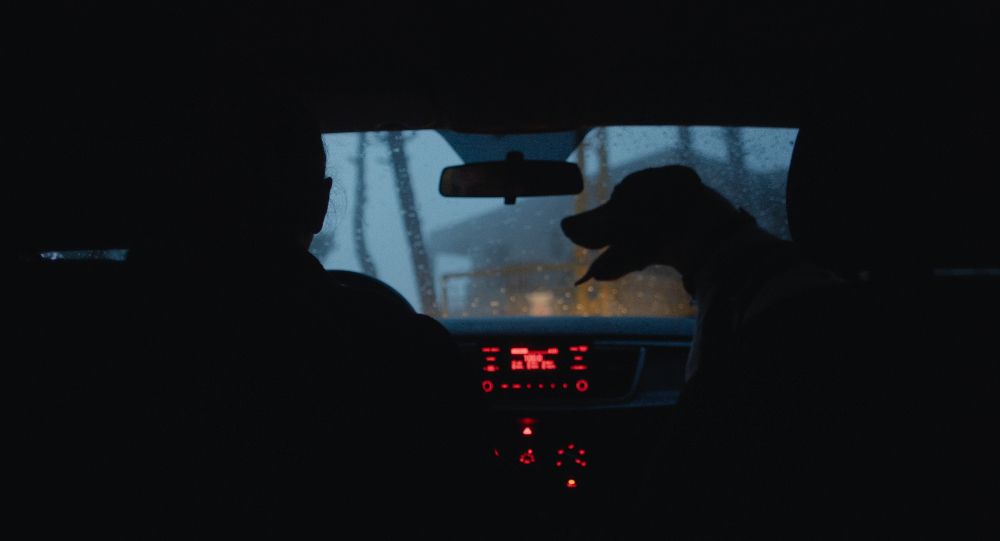 Cão Morto : Fotos