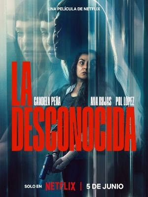 A Desconhecida  : Poster