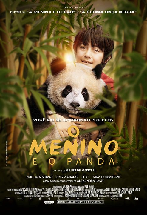 O Menino e o Panda : Poster