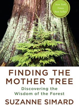 Finding the Mother Tree : Poster