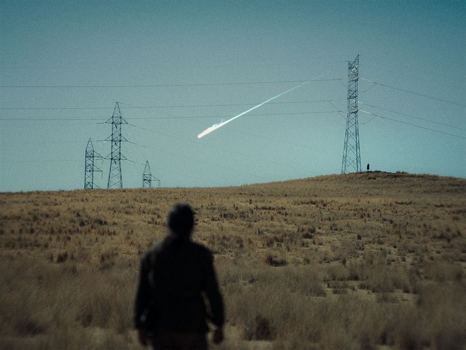    A Anatomia dos Cavalos : Fotos