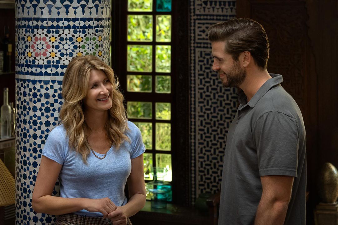 Amores Solitários : Fotos Liam Hemsworth, Laura Dern