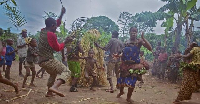 Floresta dos Espíritos Dançantes : Fotos