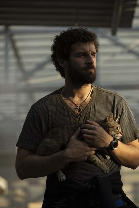 Apocalipse Z: O Princípio do Fim : Fotos