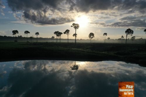 Pisar Suavemente na Terra : Fotos