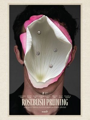 Rosebush Pruning : Poster