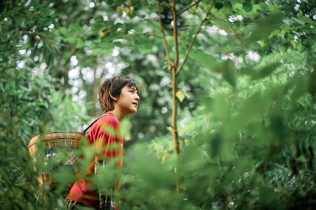 O Menino e o Panda : Fotos Noé Liu Martane