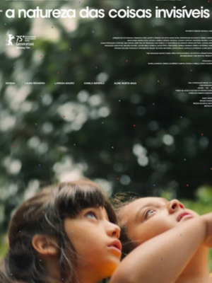 A Natureza das Coisas Invisíveis : Poster