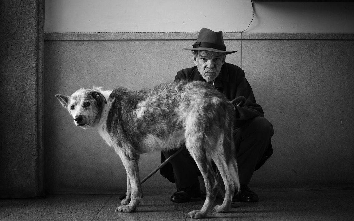 O Estrangeiro : Fotos Denis Lavant