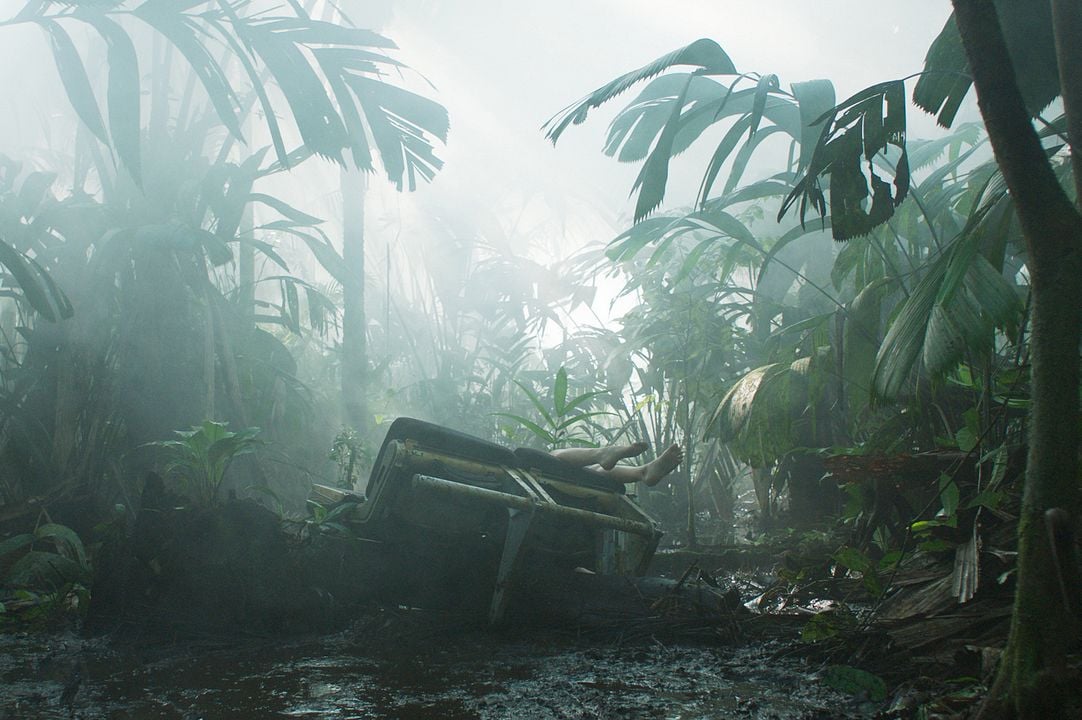 Transamazônia : Fotos