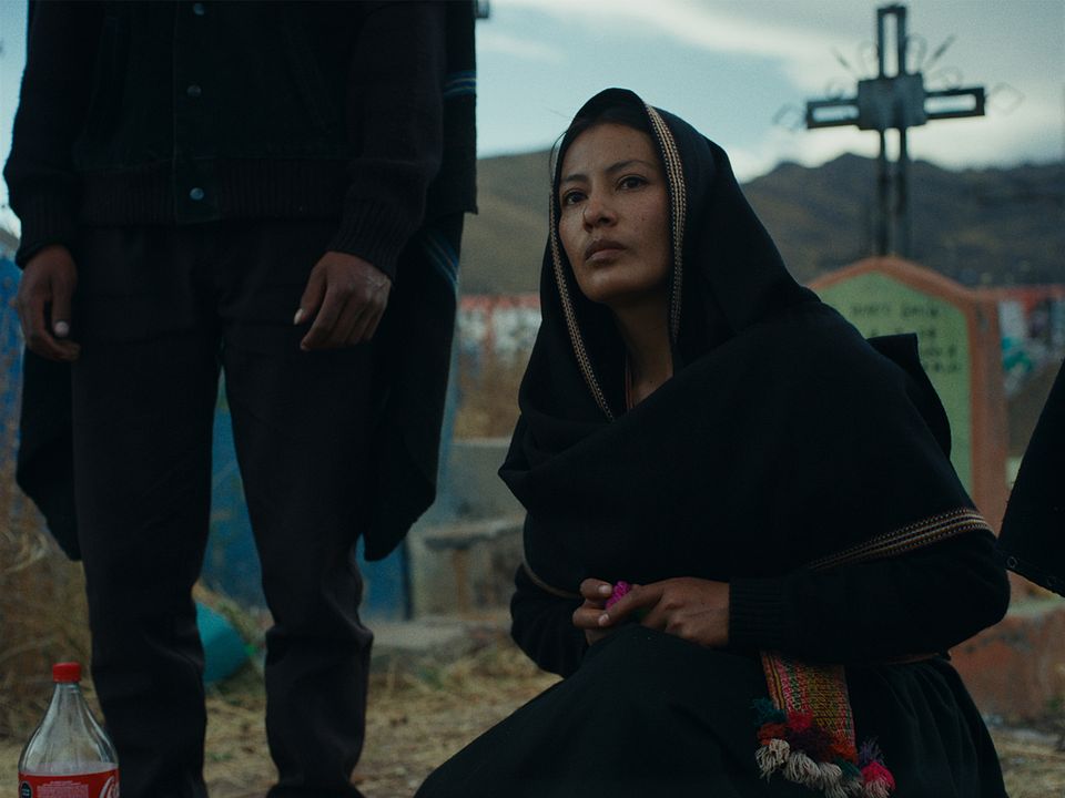    A Anatomia dos Cavalos : Fotos