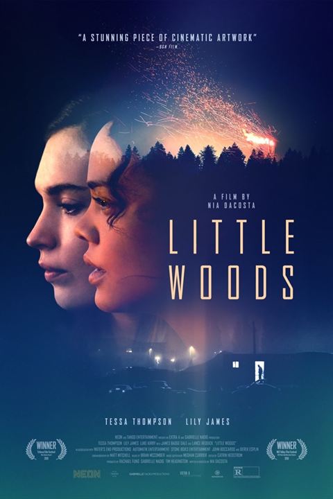 Little Woods : Poster