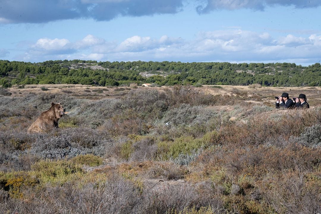 Sonho, Logo Existo : Fotos
