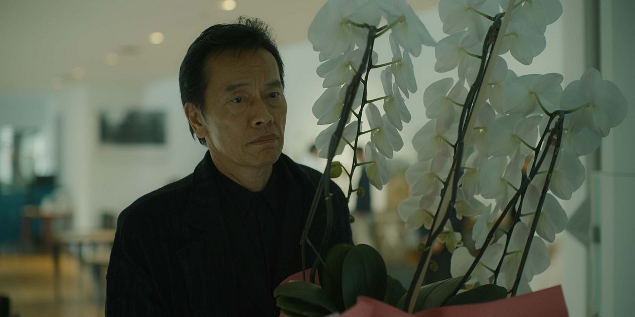 Nova Paisagem : Fotos