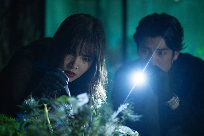 Se as Flores Falassem : Fotos