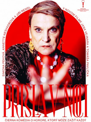 A Sogra : Poster