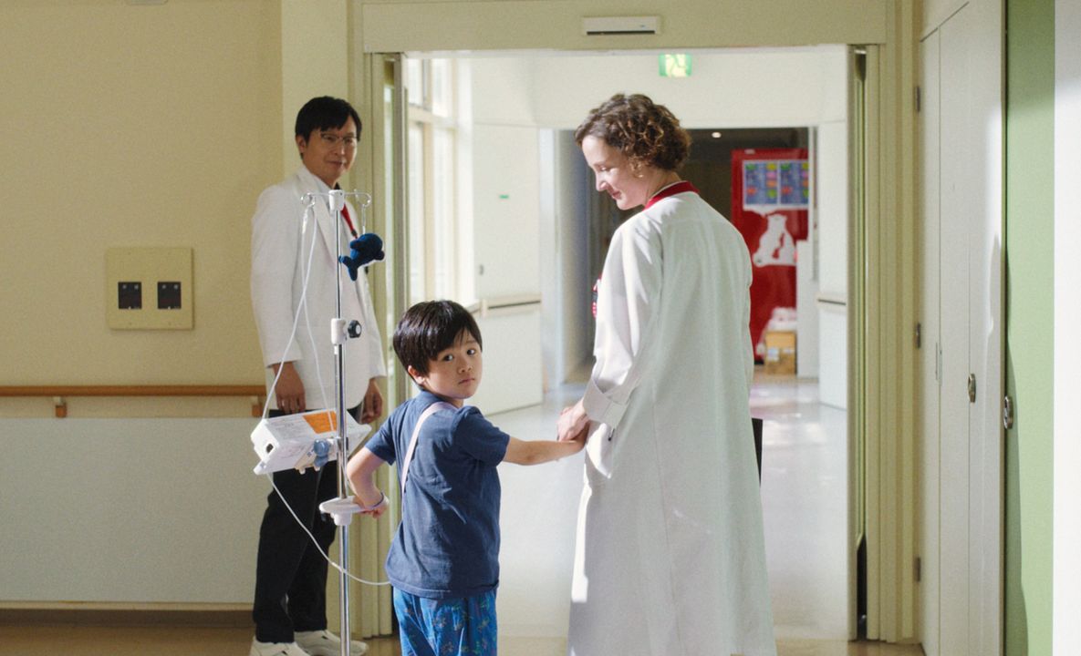 A Ilusão da Ilha de Yakushima : Fotos