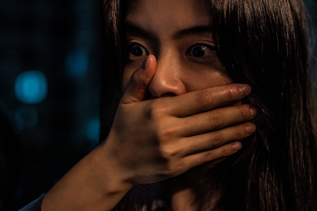 Ruídos : Fotos