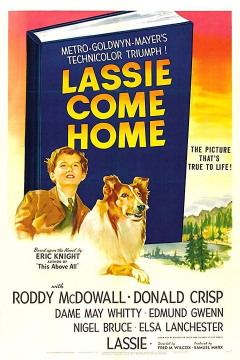 Lassie: A Força do Coração : Poster