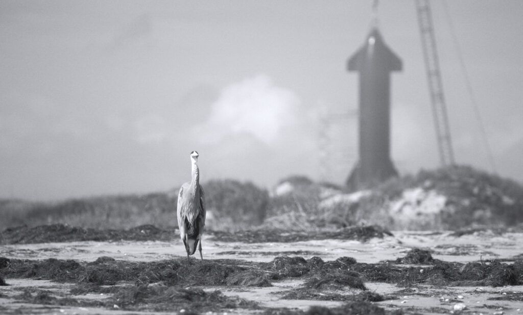 Mudança de Linhas de Base : Fotos